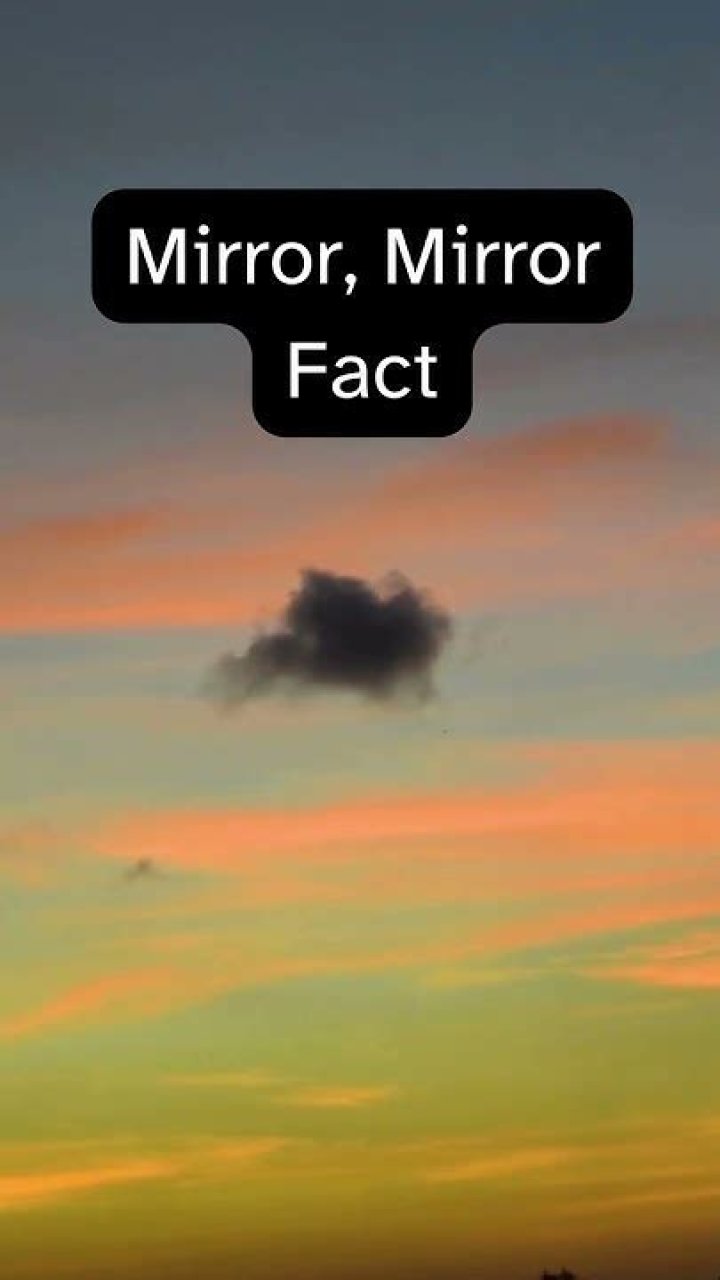 Intriguing Insights And Secrets Revealed