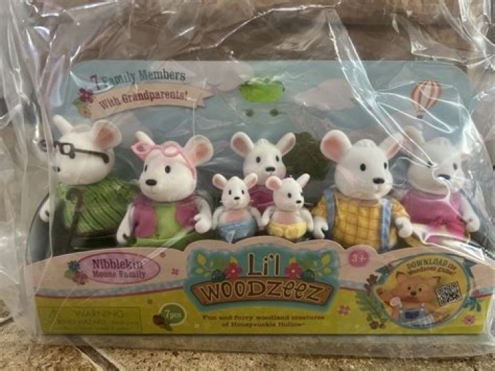 Lil Mouse Age, Net Worth, Dead, Parents, Girlfriend