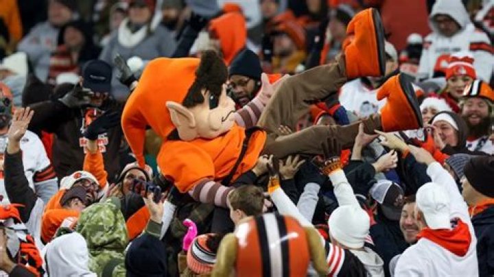 What's Up With the Cleveland Browns Mascot? Some Fans and Players Aren't Happy |